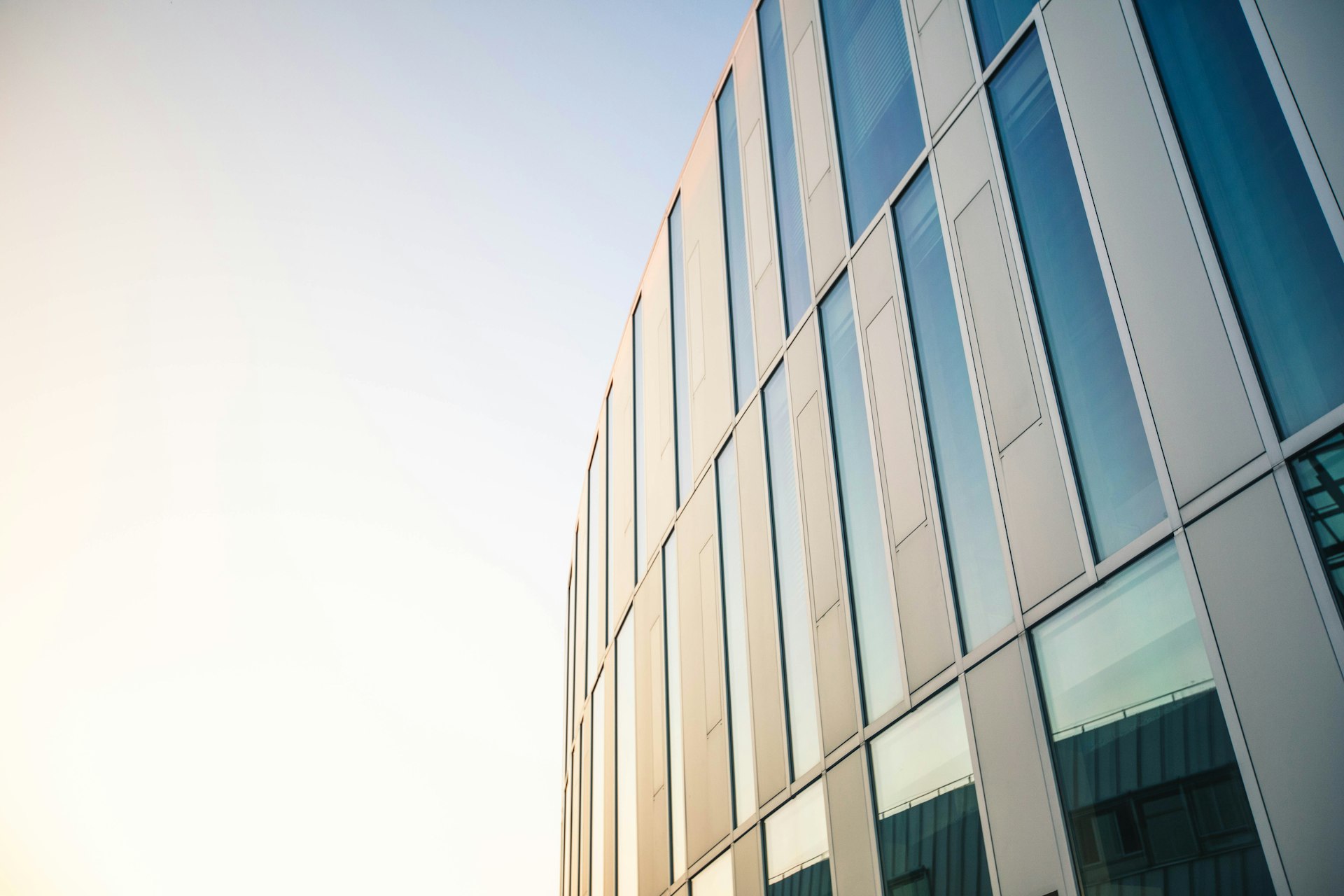 MBA Online Degree | Master of Business Administration | Selinus